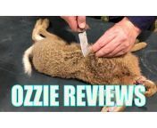 ozziereviews
